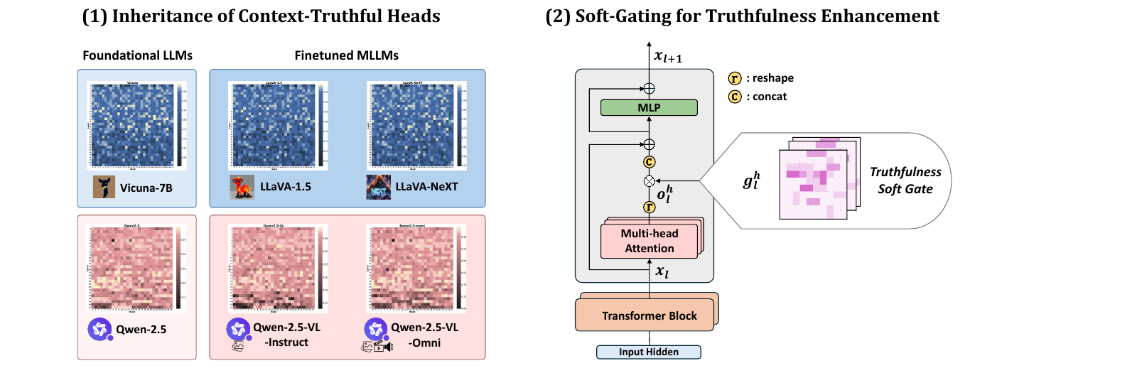 Overview of inheritance of context-truthful heads and the TruthProbe soft-gating mechanism